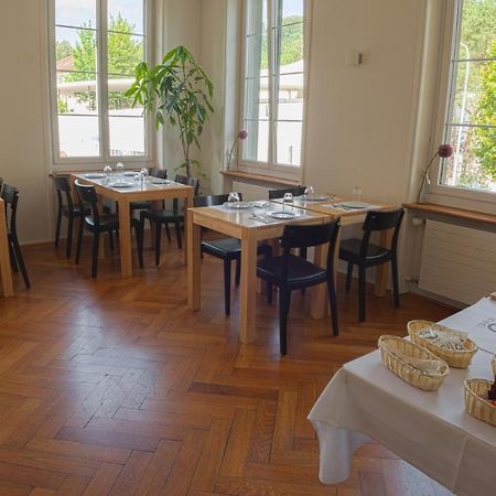 Guest House Dieci Allo Zoo Zurich Ngoại thất bức ảnh
