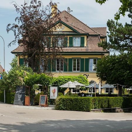Guest House Dieci Allo Zoo Zurich Ngoại thất bức ảnh