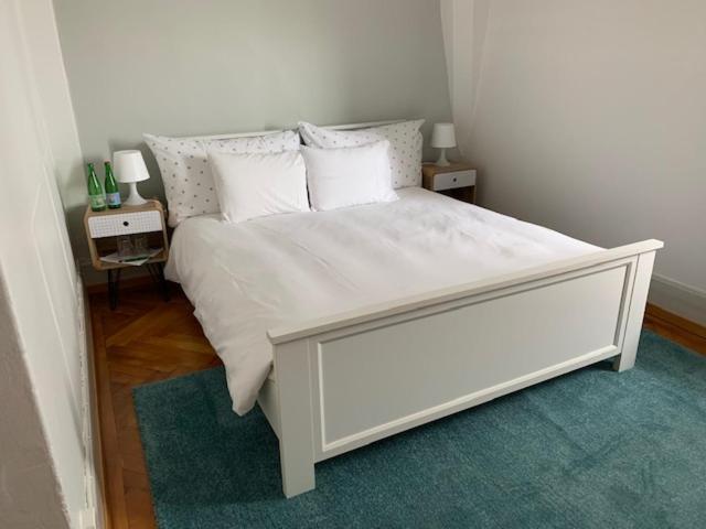Guest House Dieci Allo Zoo Zurich Ngoại thất bức ảnh