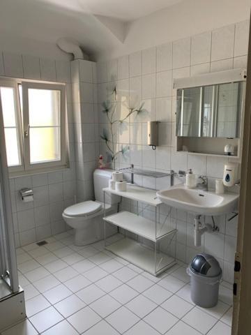 Guest House Dieci Allo Zoo Zurich Ngoại thất bức ảnh